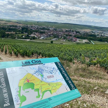 Le Cristallin Gite Plein Coeur De Chablis Exterior photo