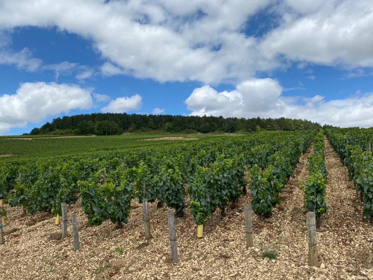 Le Cristallin Gite Plein Coeur De Chablis Exterior photo